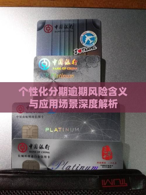 个性化分期逾期风险含义与应用场景深度解析