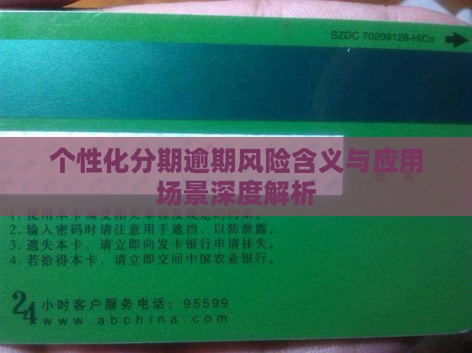 个性化分期逾期风险含义与应用场景深度解析