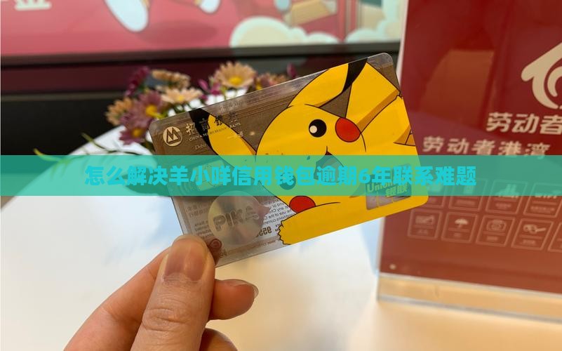 怎么解决羊小咩信用钱包逾期6年联系难题