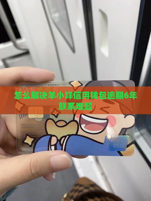 怎么解决羊小咩信用钱包逾期6年联系难题