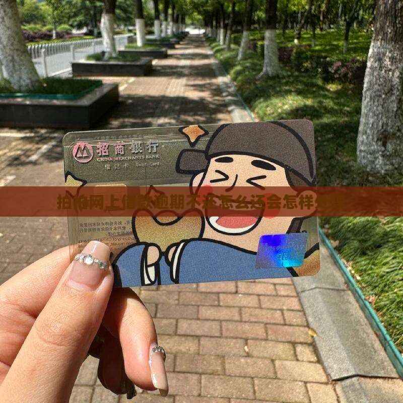 拍拍网上借款逾期不还怎么还会怎样处理