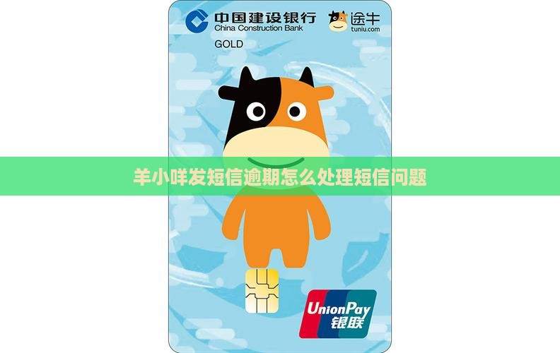 羊小咩发短信逾期怎么处理短信问题