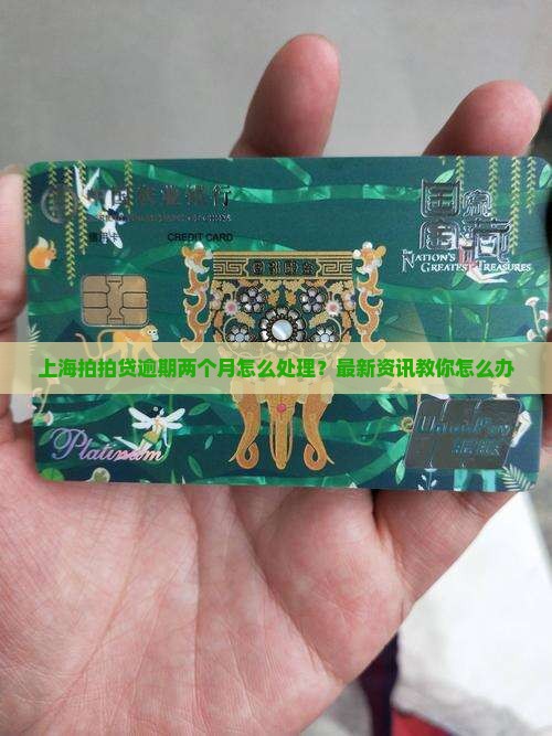 上海拍拍贷逾期两个月怎么处理？最新资讯教你怎么办