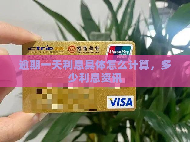 逾期一天利息具体怎么计算，多少利息资讯