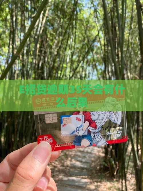 E招贷逾期35天会有什么后果