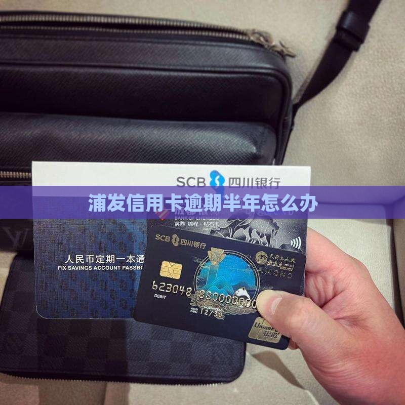 浦发信用卡逾期半年怎么办