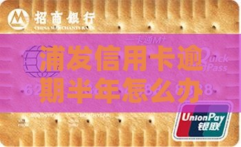 浦发信用卡逾期半年怎么办