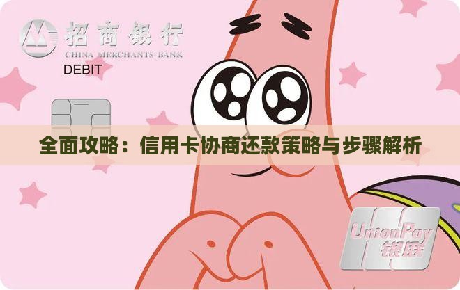 全面攻略：信用卡协商还款策略与步骤解析