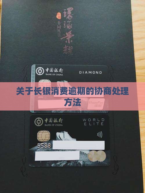 关于长银消费逾期的协商处理方法