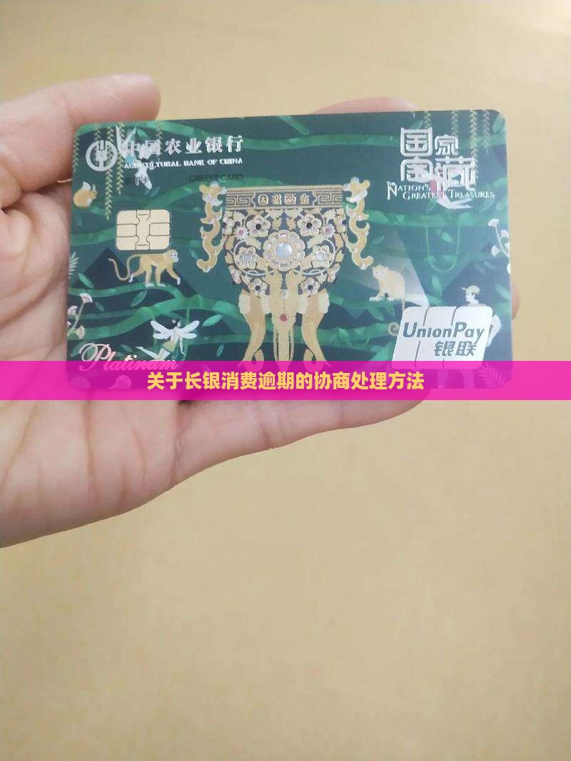 关于长银消费逾期的协商处理方法