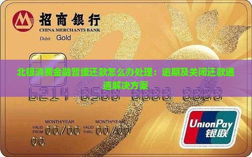 北银消费金融暂缓还款怎么办处理：逾期及关闭还款通道解决方案