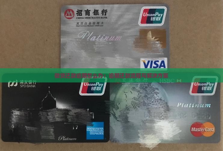 微贷还款逾期怎么办：逾期还款流程与解决方案
