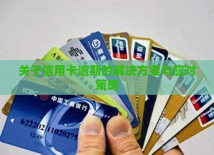 关于信用卡逾期的解决方案与应对策略