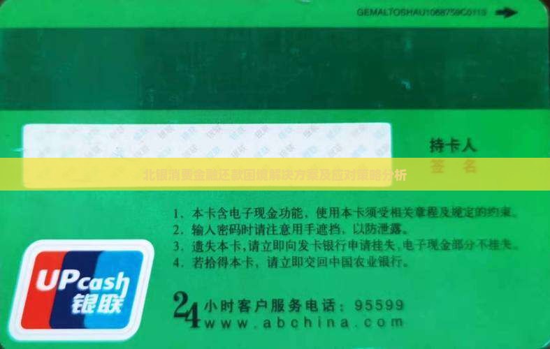 北银消费金融还款困境解决方案及应对策略分析