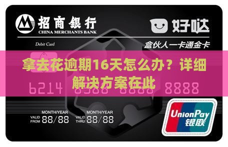拿去花逾期16天怎么办？详细解决方案在此