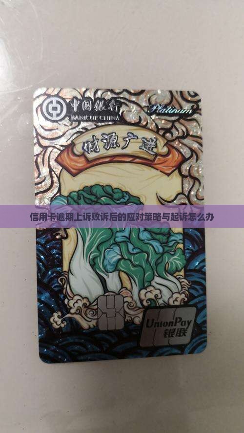 信用卡逾期上诉败诉后的应对策略与起诉怎么办