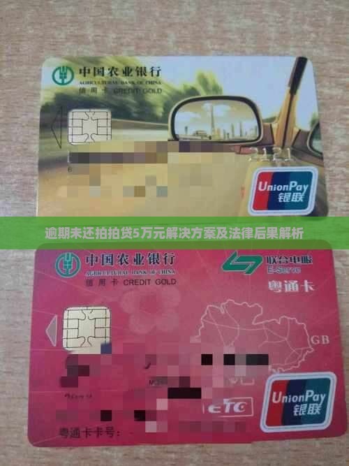 逾期未还拍拍贷5万元解决方案及法律后果解析