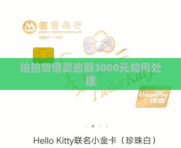 拍拍贷借款逾期3000元如何处理