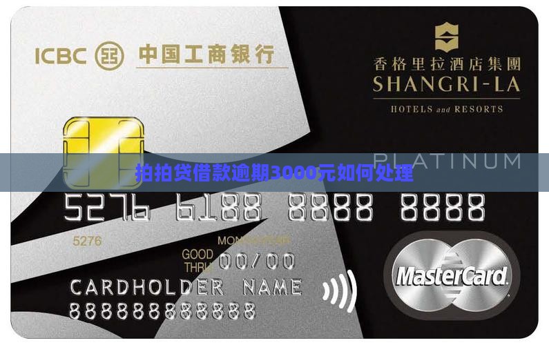 拍拍贷借款逾期3000元如何处理