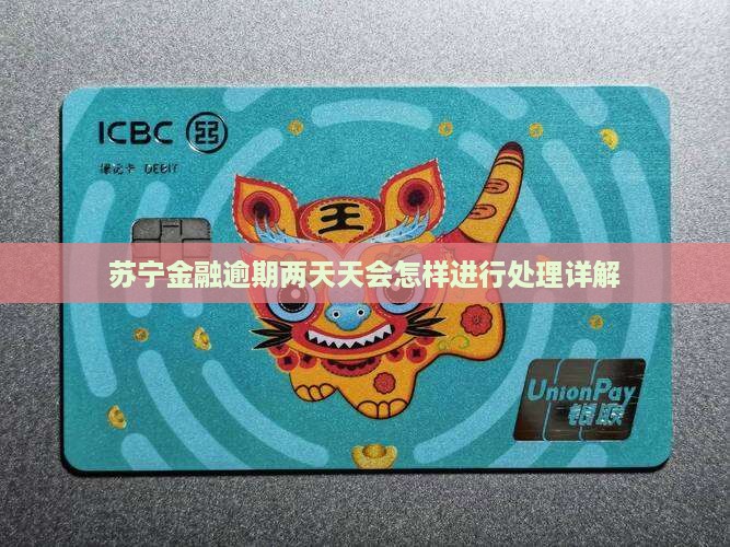 苏宁金融逾期两天天会怎样进行处理详解