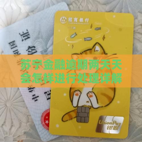苏宁金融逾期两天天会怎样进行处理详解