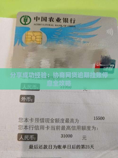分享成功经验：协商网贷逾期挂账停息全攻略