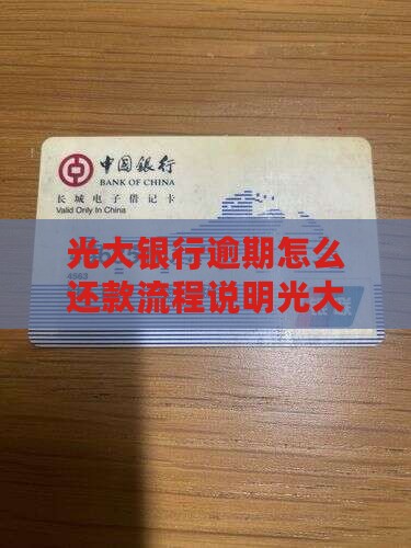 光大银行逾期怎么还款流程说明光大