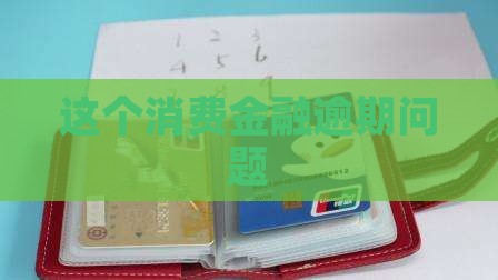 这个消费金融逾期问题