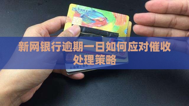 新网银行逾期一日如何应对催收处理策略