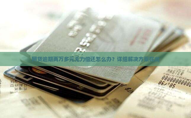 网贷逾期两万多元无力偿还怎么办？详细解决方案在此