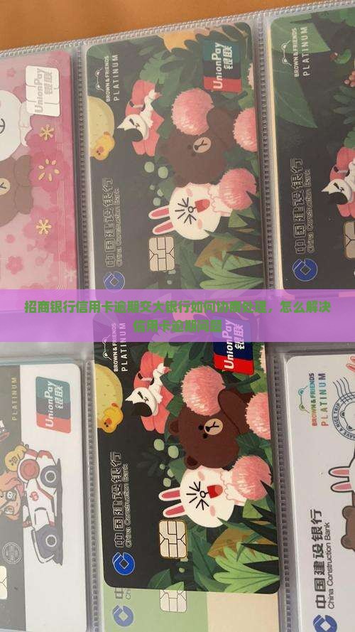 招商银行信用卡逾期交大银行如何协商处理，怎么解决信用卡逾期问题