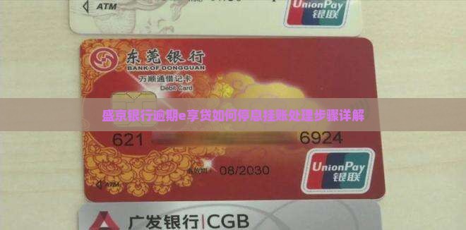 盛京银行逾期e享贷如何停息挂账处理步骤详解