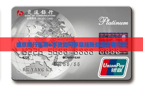 盛京银行逾期e享贷如何停息挂账处理步骤详解