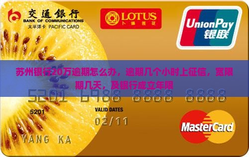 苏州银行20万逾期怎么办，逾期几个小时上征信，宽限期几天，及银行成立年限