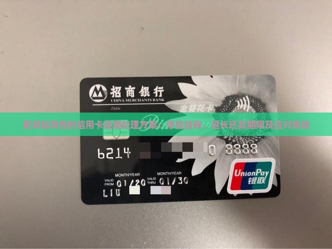 更具指导性的信用卡逾期处理方案：停息挂账、延长还款期限及应对策略