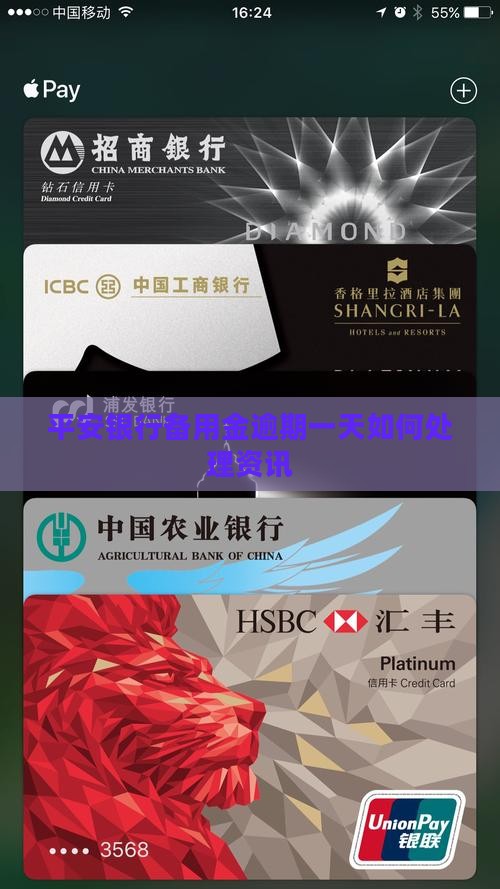 平安银行备用金逾期一天如何处理资讯