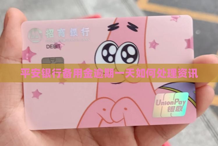 平安银行备用金逾期一天如何处理资讯