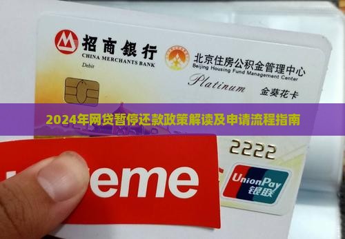 2024年网贷暂停还款政策解读及申请流程指南