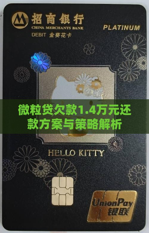 微粒贷欠款1.4万元还款方案与策略解析