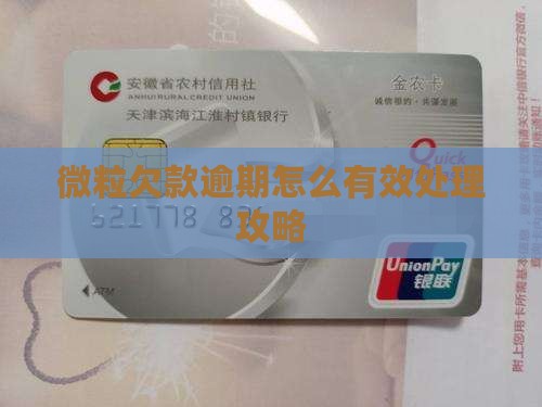 微粒欠款逾期怎么有效处理攻略