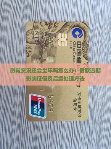 微粒贷没还会坐牢吗怎么办：借款逾期影响征信及后续处理方法