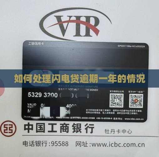 如何处理闪电贷逾期一年的情况