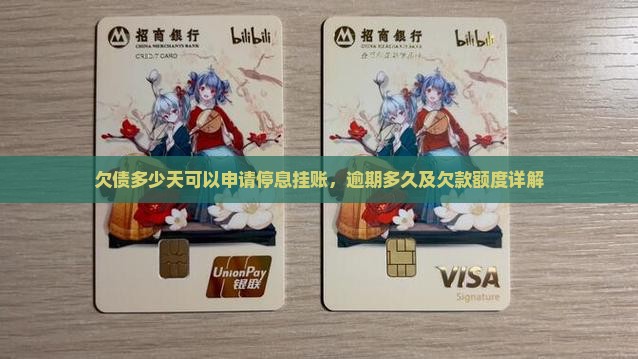 欠债多少天可以申请停息挂账，逾期多久及欠款额度详解