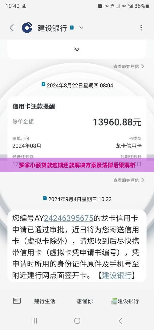多家小额贷款逾期还款解决方案及法律后果解析