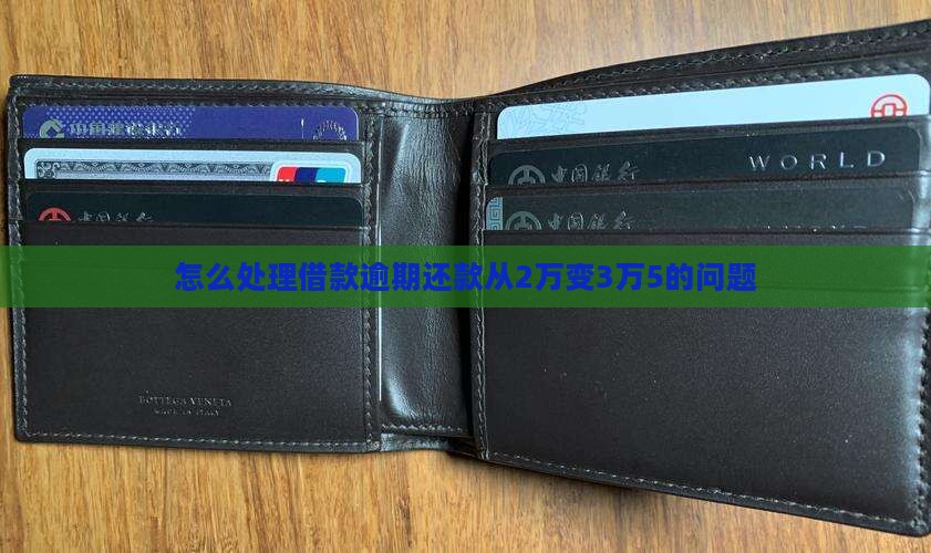 怎么处理借款逾期还款从2万变3万5的问题