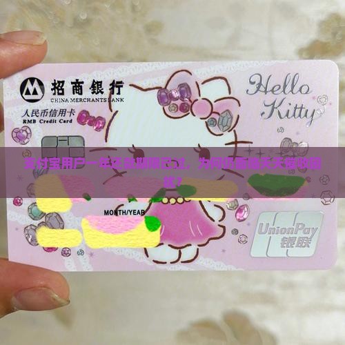 支付宝用户一年还款期限已过，为何仍面临天天催收困扰？