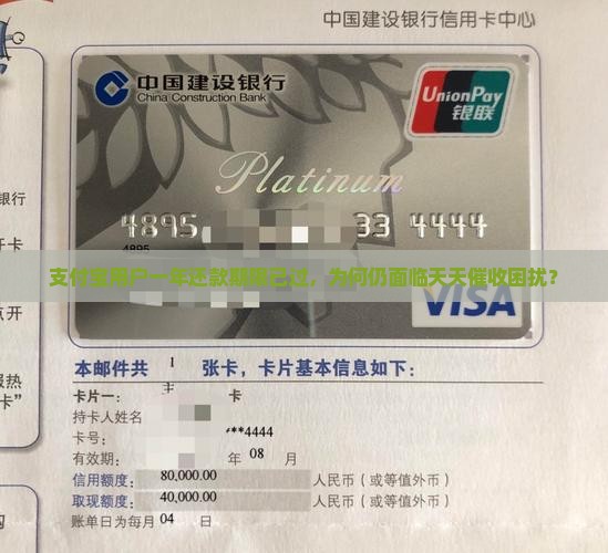 支付宝用户一年还款期限已过，为何仍面临天天催收困扰？