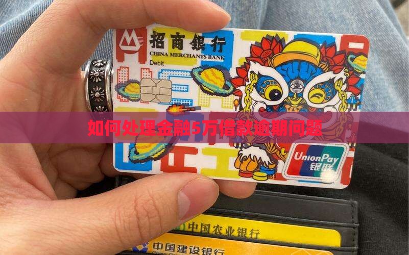 如何处理金融5万借款逾期问题