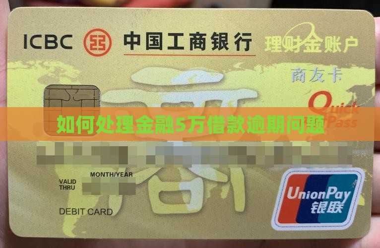 如何处理金融5万借款逾期问题