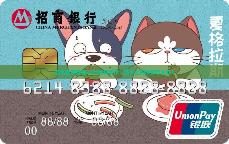 怎么自救处理20万网贷负债：还不上的债务怎么办？